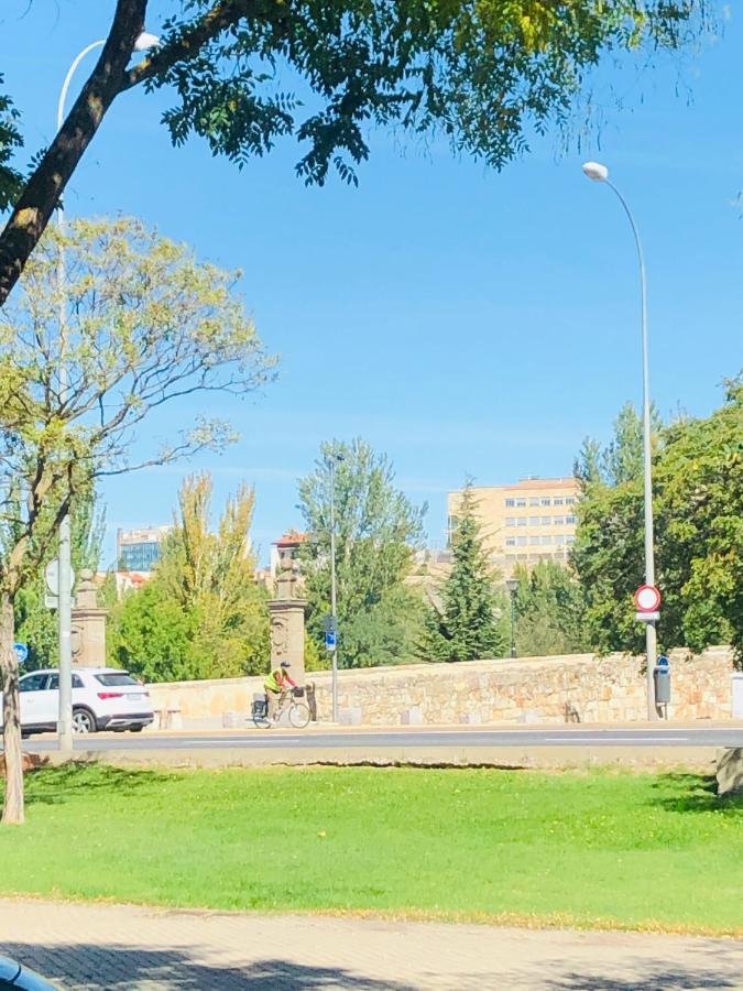 Apartamento Turisticos Puente Romano P4 1-A サラマンカ エクステリア 写真